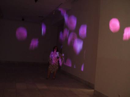 aleksandra-vasovic-rose-petals-art-installation