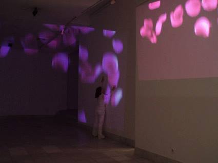 aleksandra-vasovic-rose-petals-art-installation