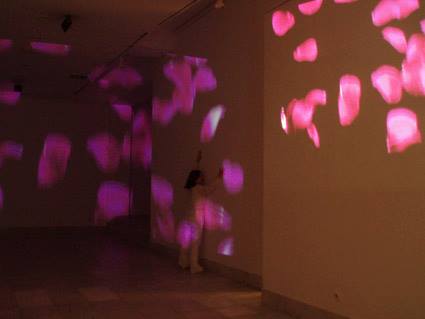 aleksandra-vasovic-rose-petals-art-installation