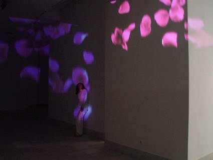 aleksandra-vasovic-rose-petals-art-installation