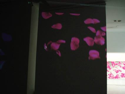 aleksandra-vasovic-rose-petals-art-installation