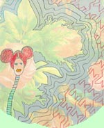 scented little letters